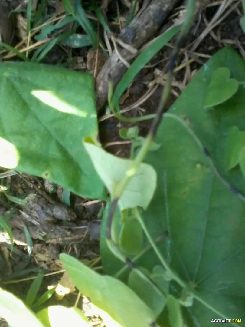 2014-11-17-10-18-24-jpg.2929