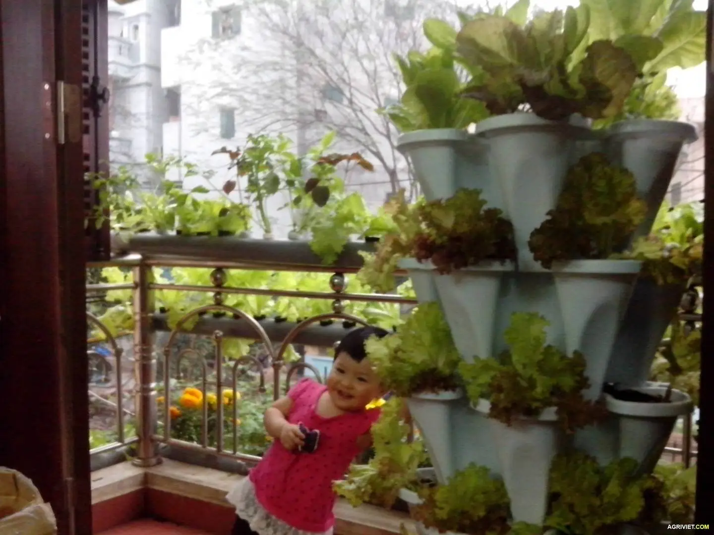 img_20140303_164651-jpg.1985