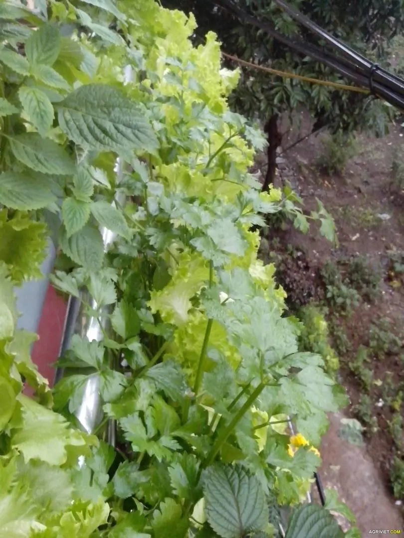 img_20140308_164410-jpg.1986