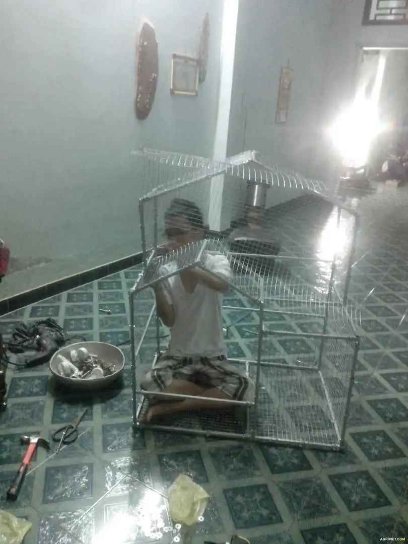 img_20140426_213920-jpg.1382