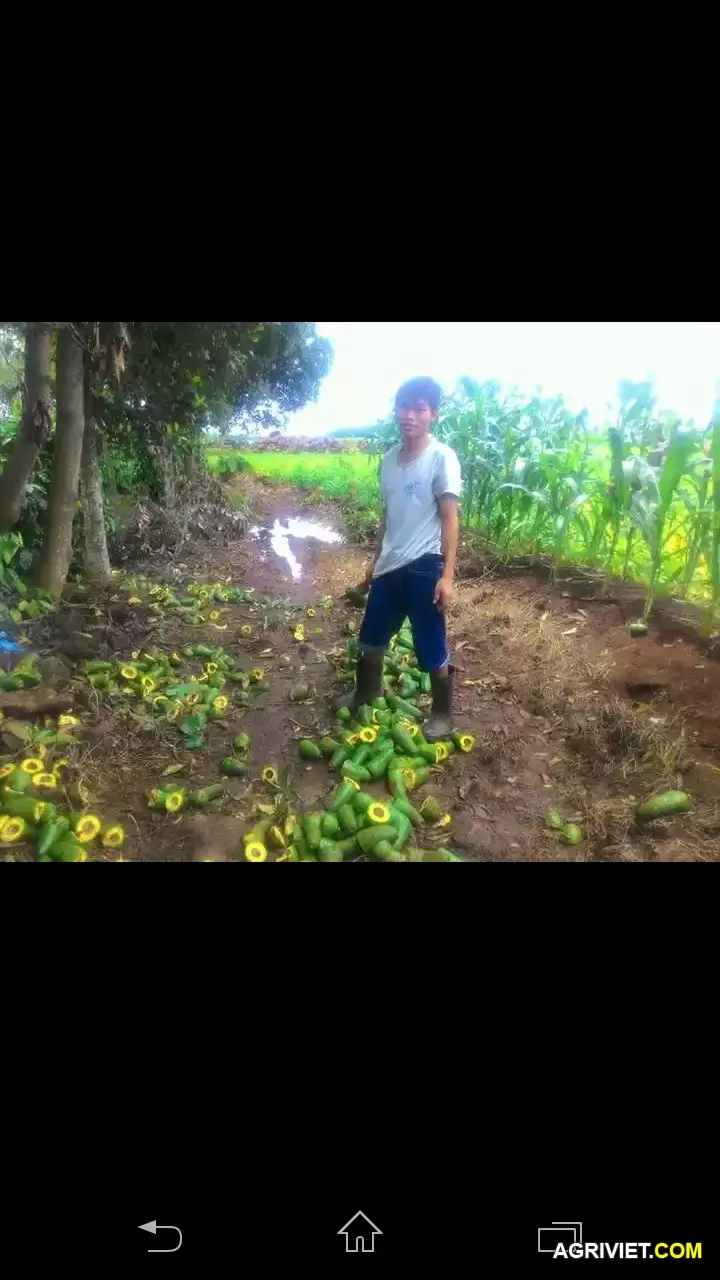 screenshot_2015-07-11-16-02-48-png.4399