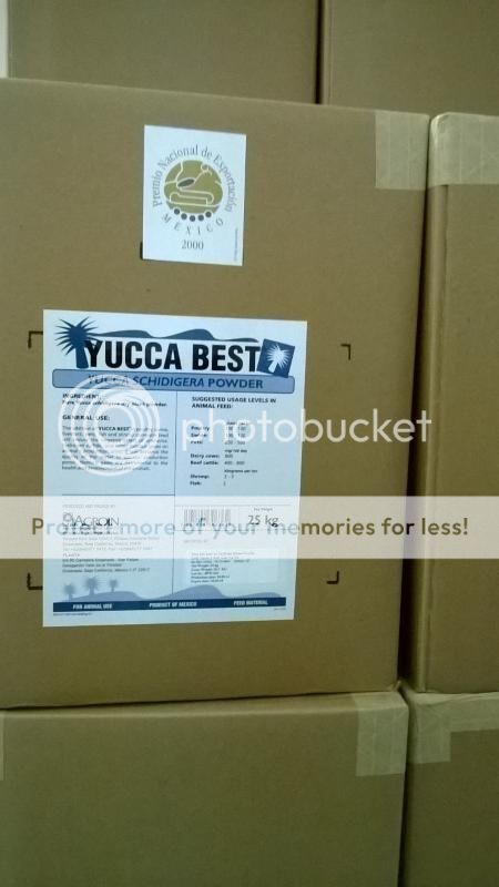 Yucca%20Best%20powder_zpspzmys4yy.jpg