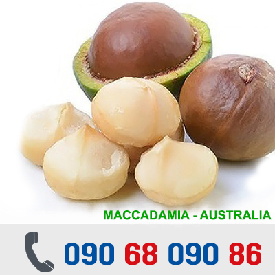 Macadamia-nuts-640x360-400x400%20copy-400x400.png