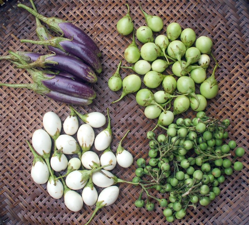 Small-Thai-eggplants.jpg