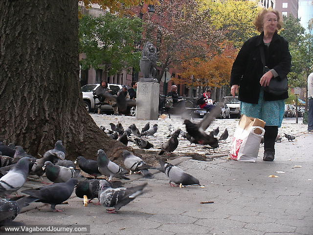 09-2806-woman-pigeons-new-york-city.JPG