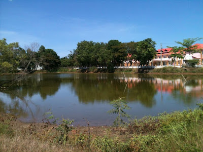 Bđs Tdcland chuyên mua bán biệt thự vườn xã Suối Cát Xuân Lộc