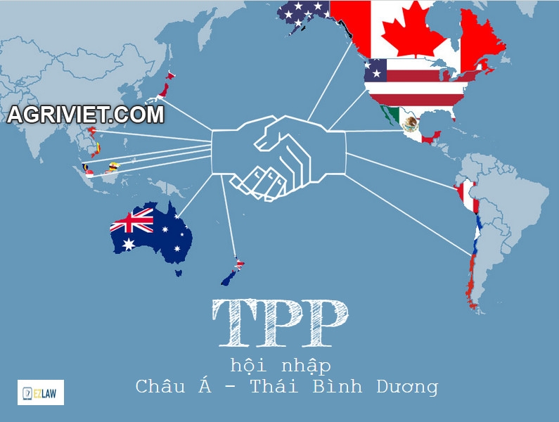 Kỳ 1: Cơ Hội Và Thách thức Đối Với Nông Nghiệp Việt Nam Khi Tham Gia TPP