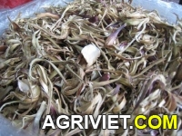 Agriviet.Com-atis%C3%B4_kh%C3%B4.jpg