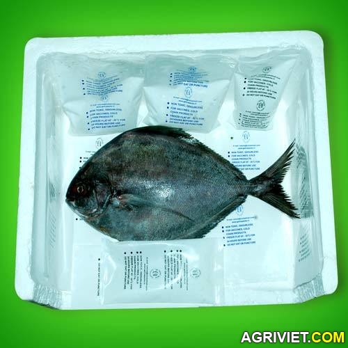 Agriviet.Com-cold-gel-packs-for-fish-500x500.jpg