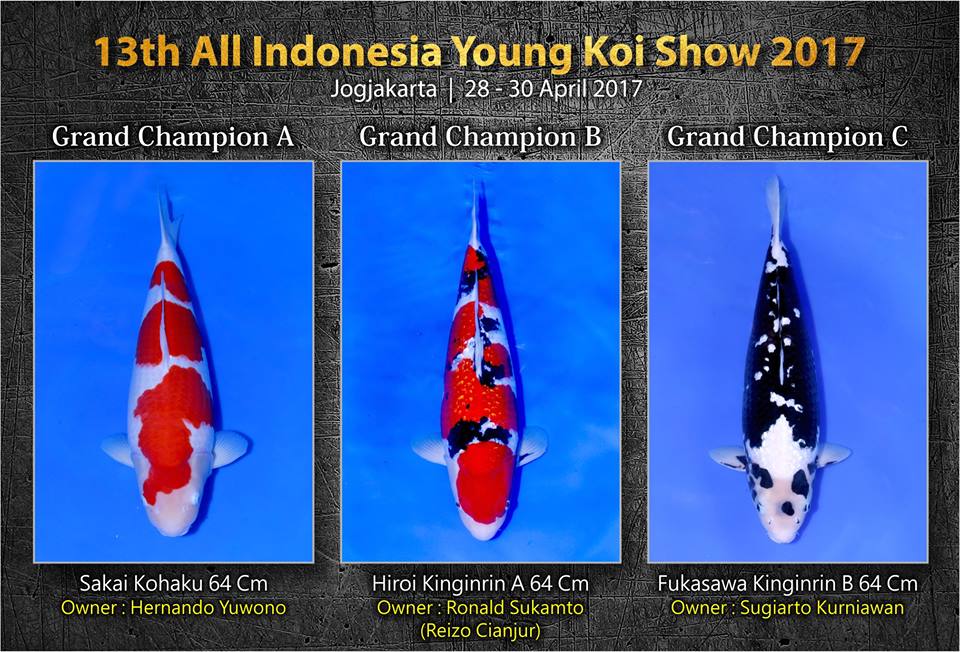 all-indonesia-koi-show.jpg