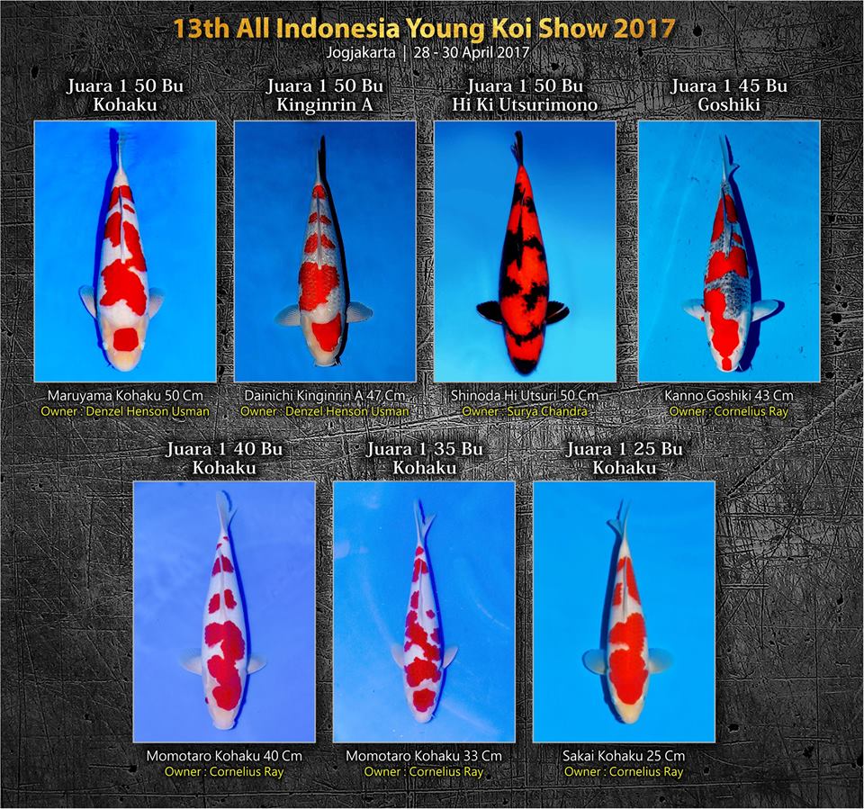 all-indonesia-young-koi-show.jpg