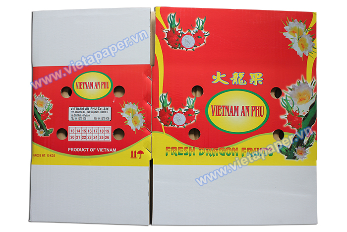 In thùng carton đựng trái cây Thanh Long xuất khẩu -02