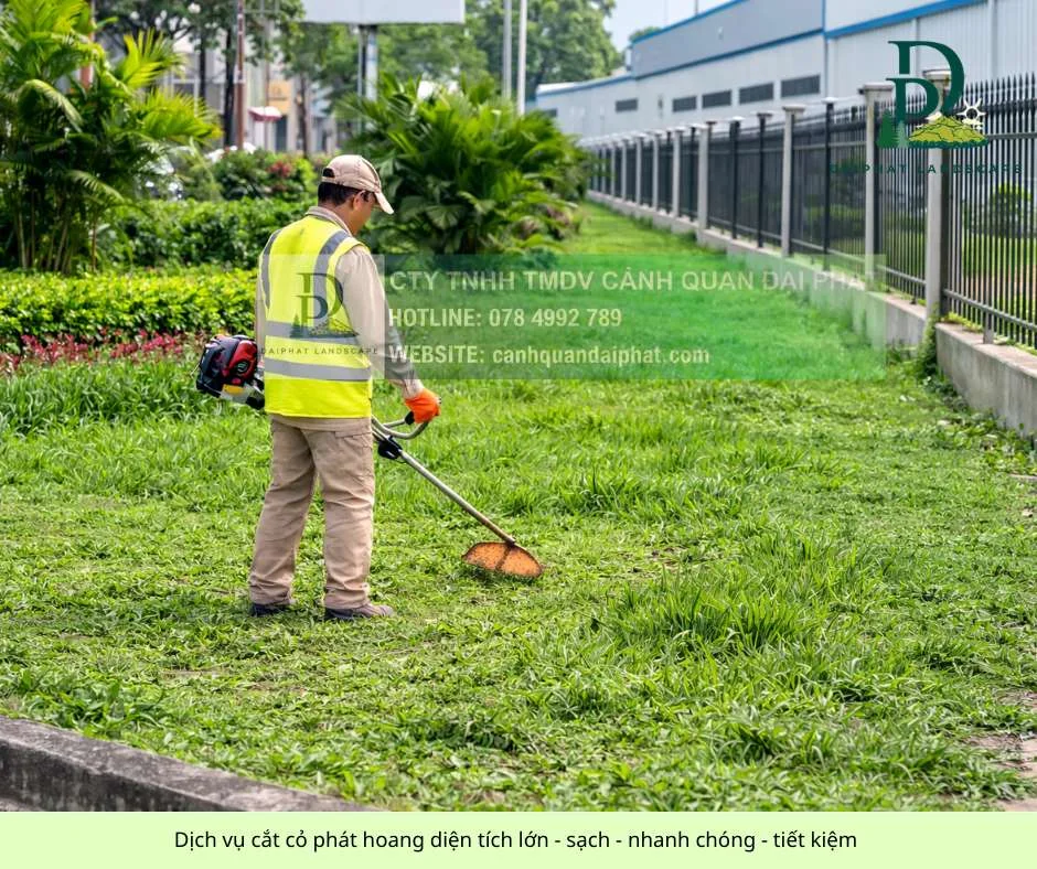 0.cắt cỏ phát hoang diện tích lớn - nhanh chóng - tiết kiệm 180326 2.webp