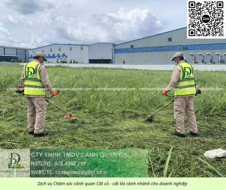 0. Dịch vụ cưa cây cắt cỏ doanh nghiệp đồng nai 050226 1.webp