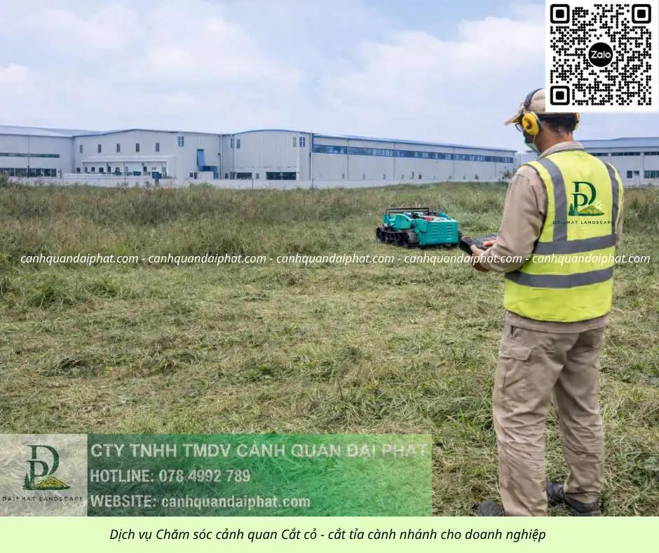 0.Dịch vụ cưa cây cắt cỏ doanh nghiệp đồng nai 050226 6.webp