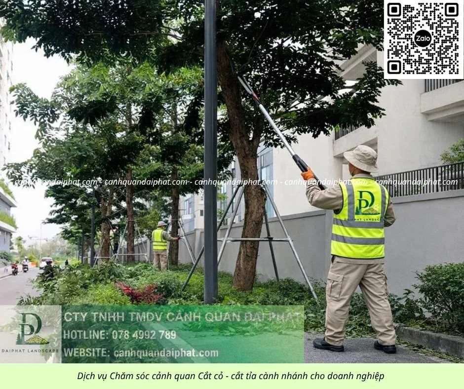 03. Dịch vụ cưa cây cắt cỏ doanh nghiệp đồng nai 050226 2.webp