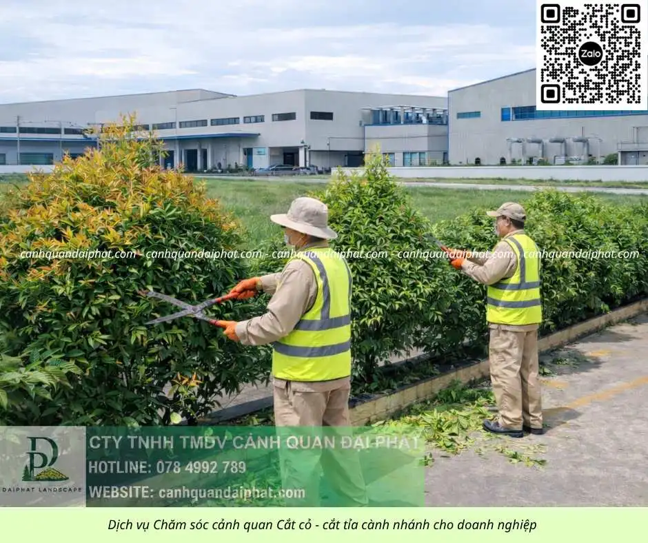 06. Dịch vụ cưa cây cắt cỏ doanh nghiệp đồng nai 050226 4.webp