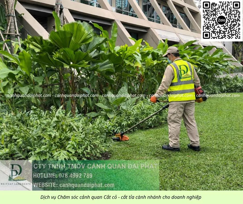 07. Dịch vụ cưa cây cắt cỏ doanh nghiệp đồng nai 050226 3.webp