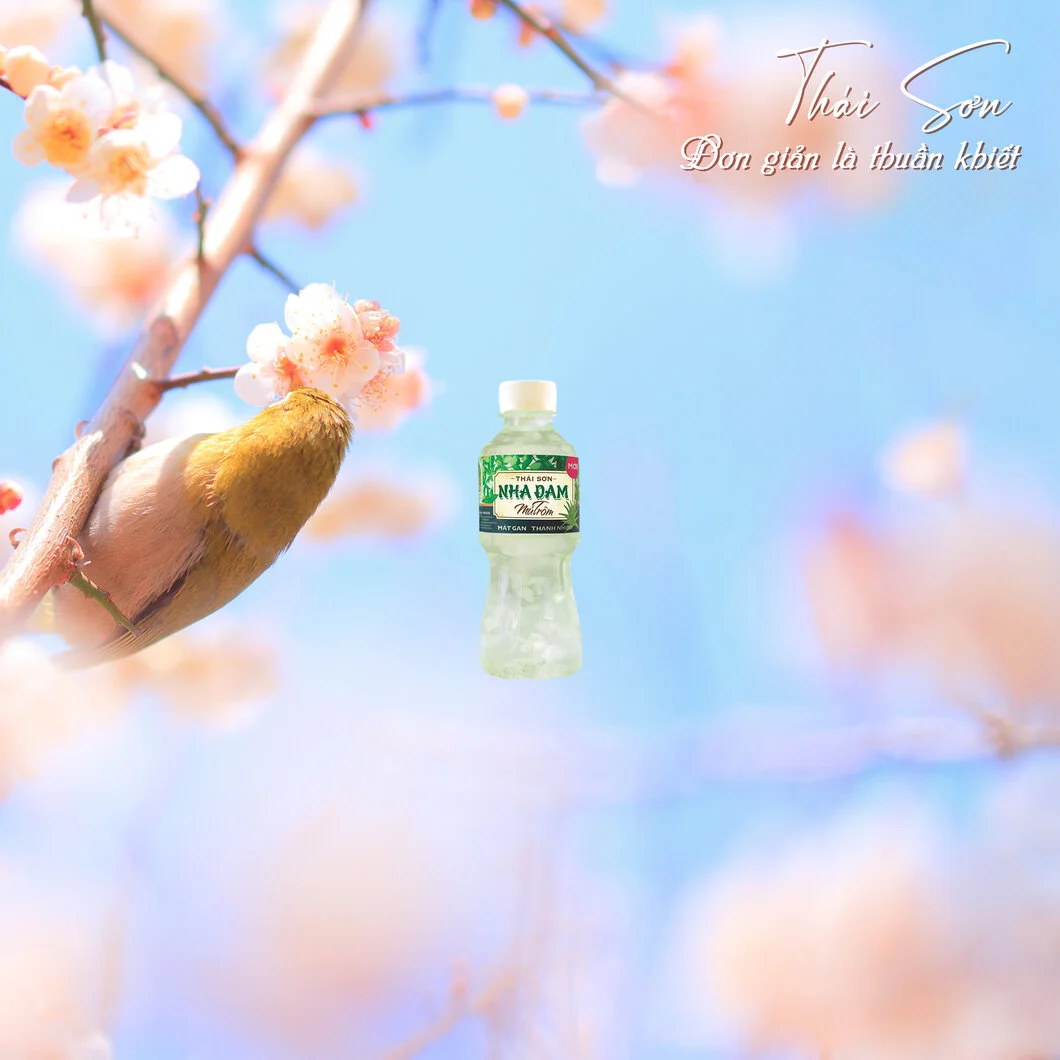 Nha đam mủ trôm Thái Sơn