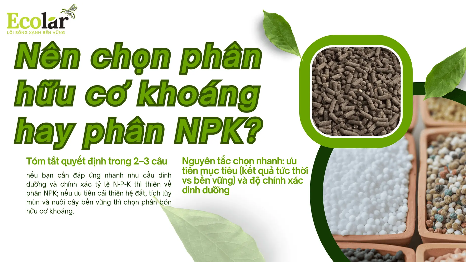 1._nen-chon-phan-khoang-hay-npk_ea12b4fd4a2442e589a8bb3db07a2aca.webp