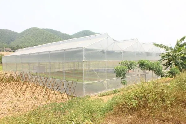 Bảng giá lưới nông nghiệp và công dụng mang lại trong cuộc sống hiện nay