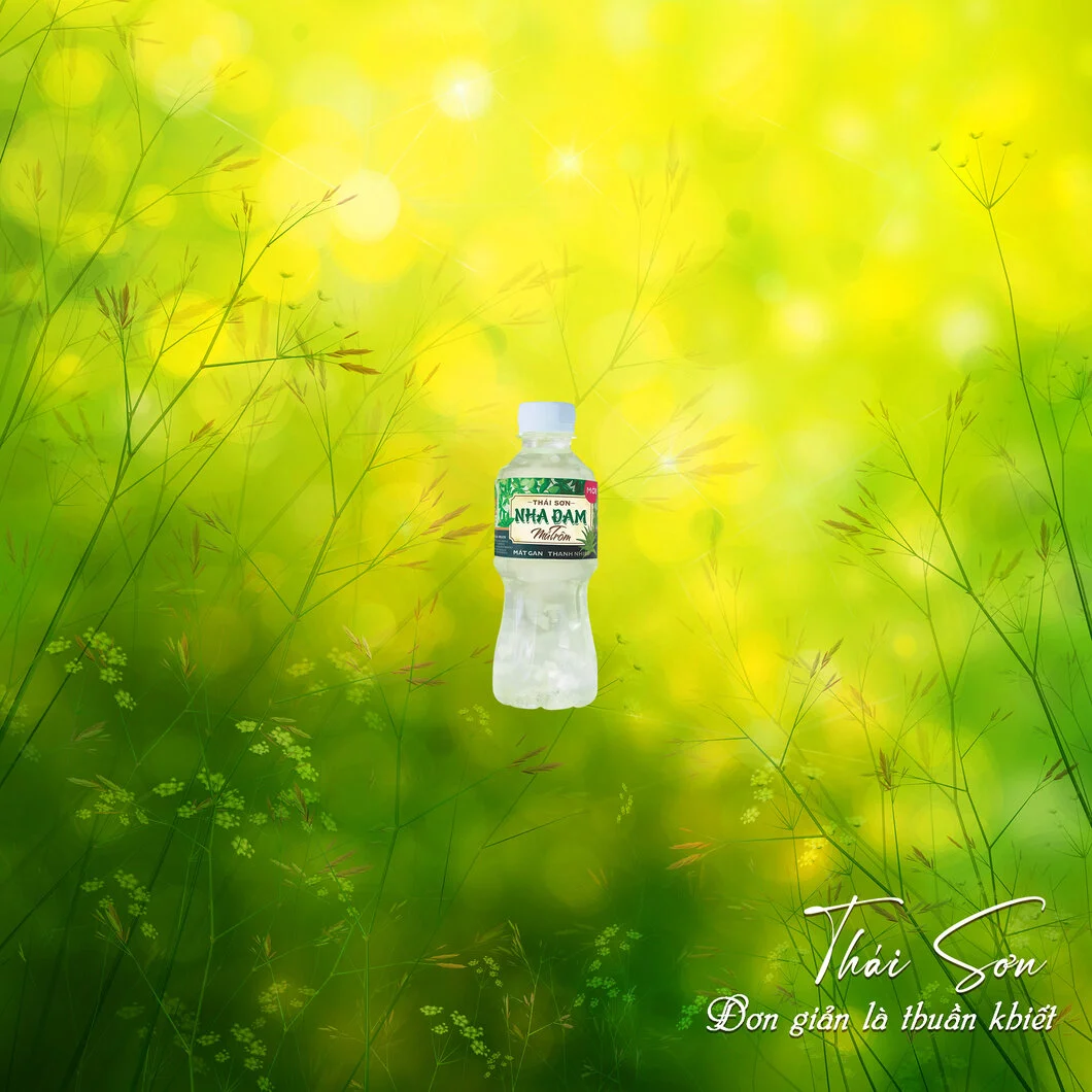 Nha Đam Mủ Trôm Thái Sơn