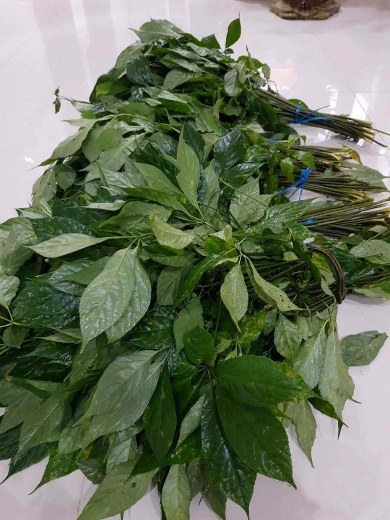 10a951d1eb2e0d70543f (1).webp