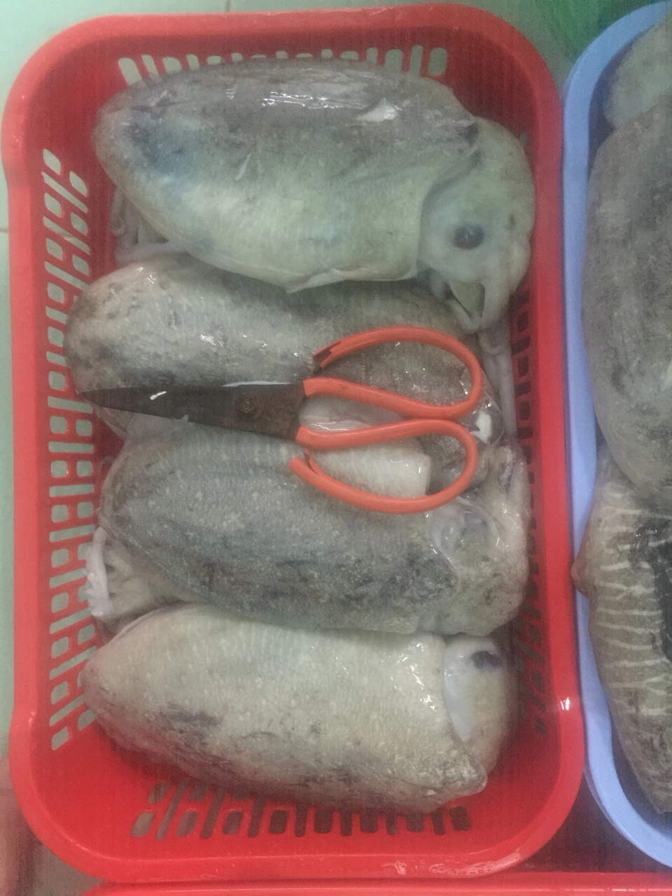 chuyên phân phối, mực nang, mực ống,mực trứng, bạch tuộc , cua lột , cá hồi , cá biển.