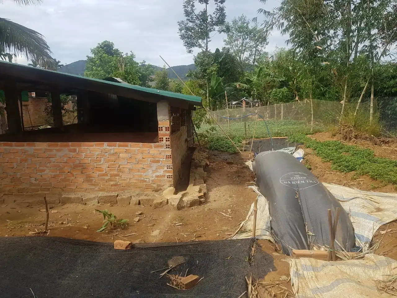 Vì sao túi biogas mô hình phù hợp xử lý chất thải nuôi heo hội gia đình.