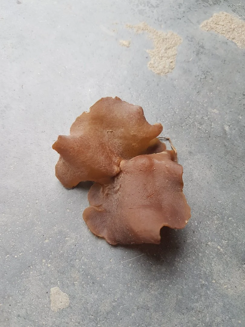 Nấm giống như mộc nhĩ mọc từ Rơm, có ăn được ?