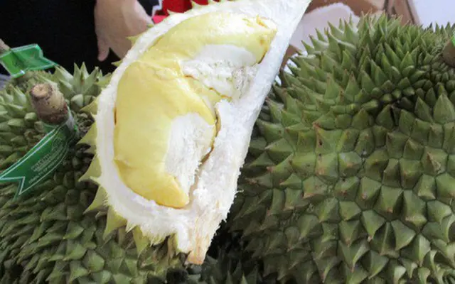 Tin vui: Sầu riêng và khoai lang được xuất khẩu sang Trung Quốc