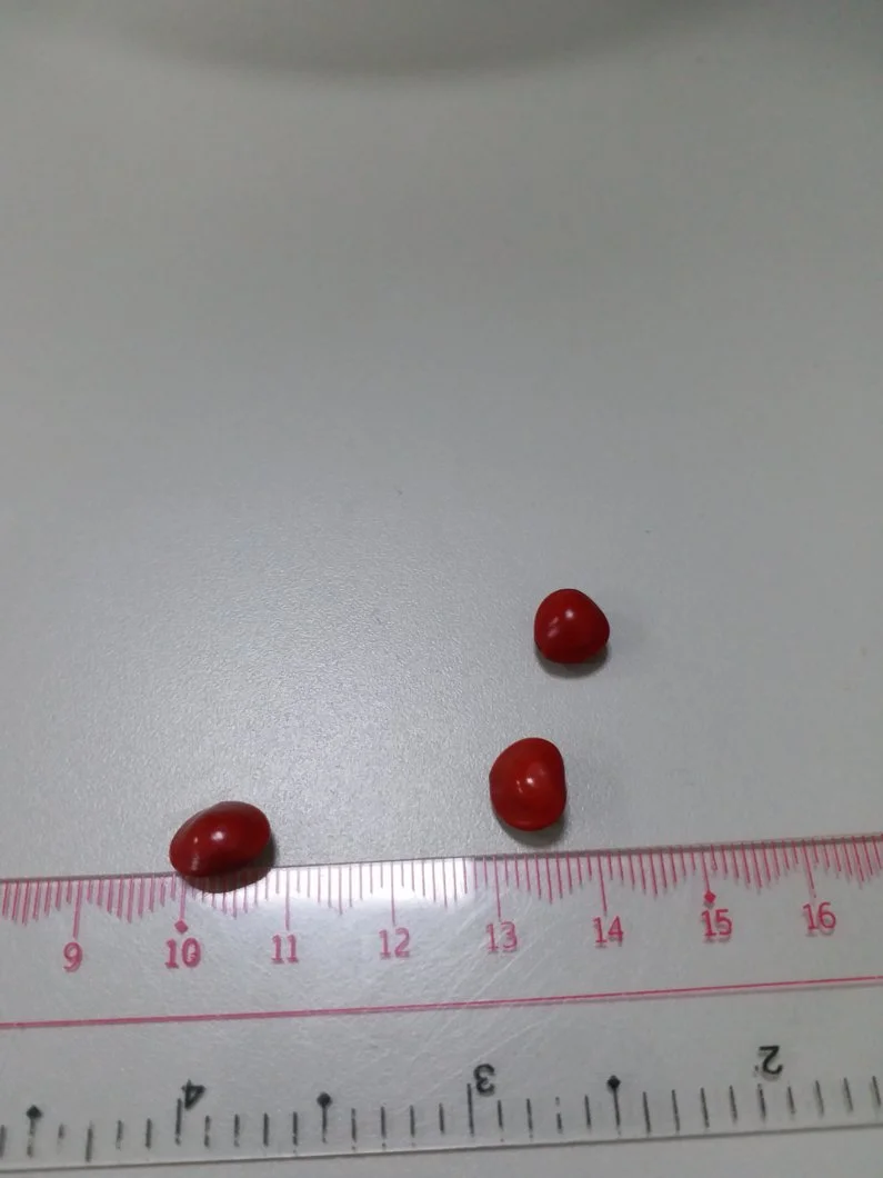 Cây tên gì đây mọi người