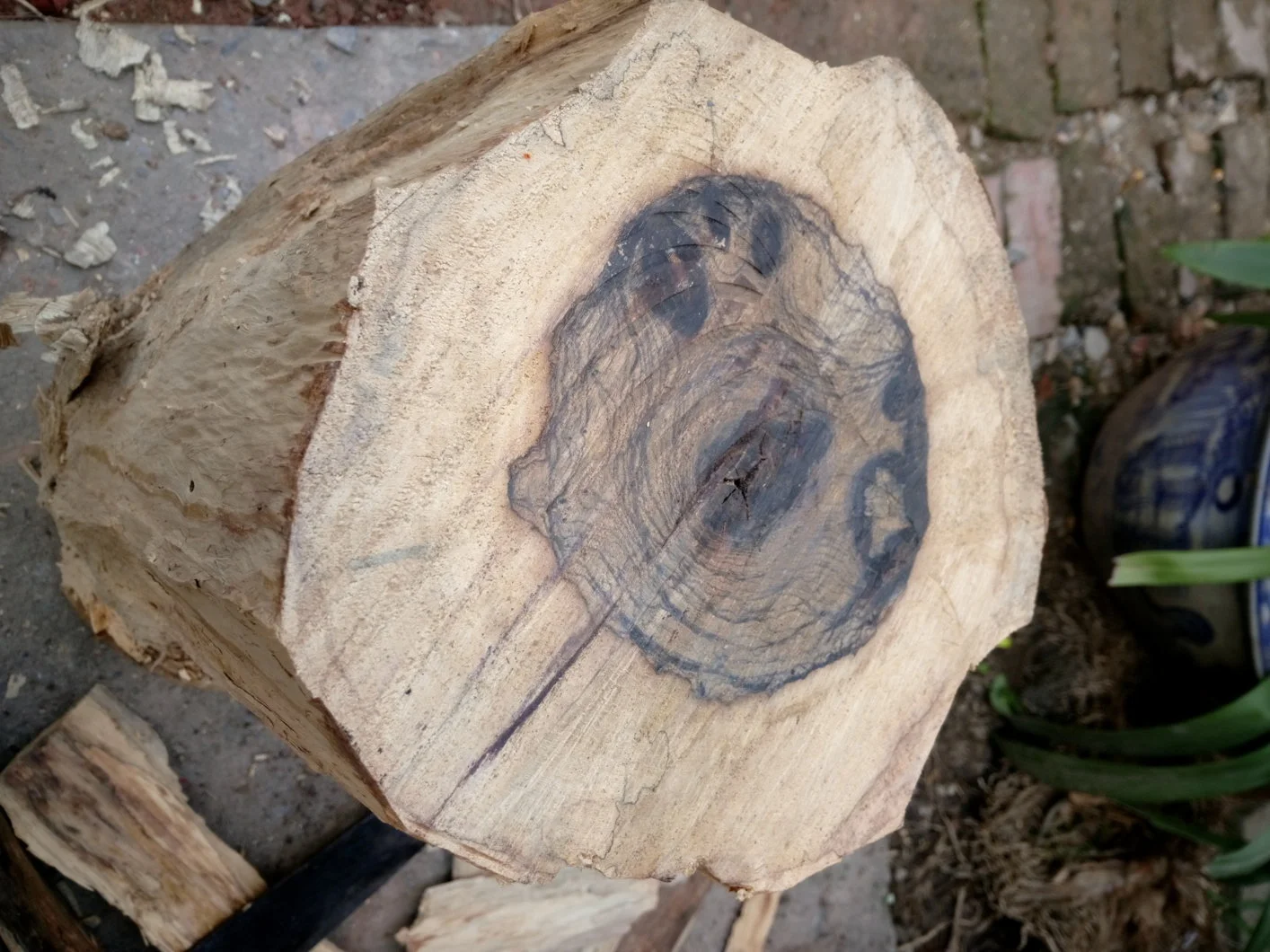 Nhờ các cụ xem hộ gỗ gì ạ