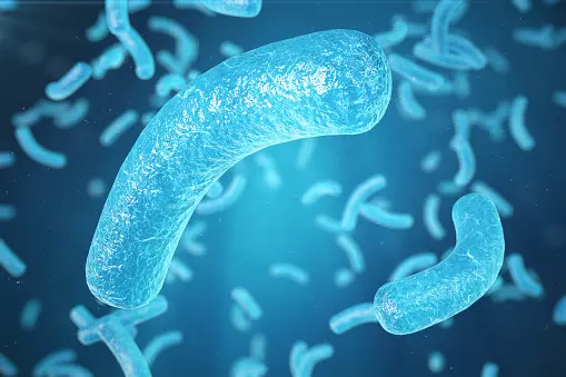 Đạm đơn bào: Sự lựa chọn mới trong sản xuất thức ăn chăn nuôi, thủy sản