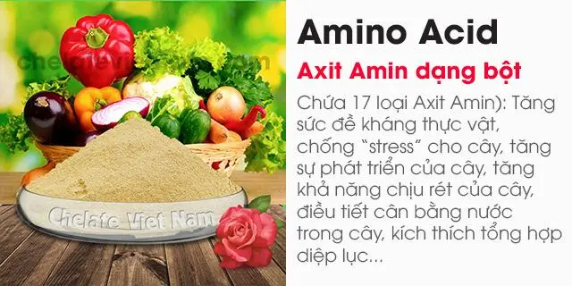Tại Sao Đạm Hữu Cơ Amino Trong Nông Nghiệp Ngày Càng Được Quan Tâm???