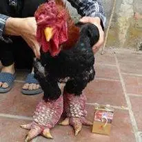 17457556_139876956543197_1710368041057170352_n.webp 17457556_139876956543197_1710368041057170352_n.webp