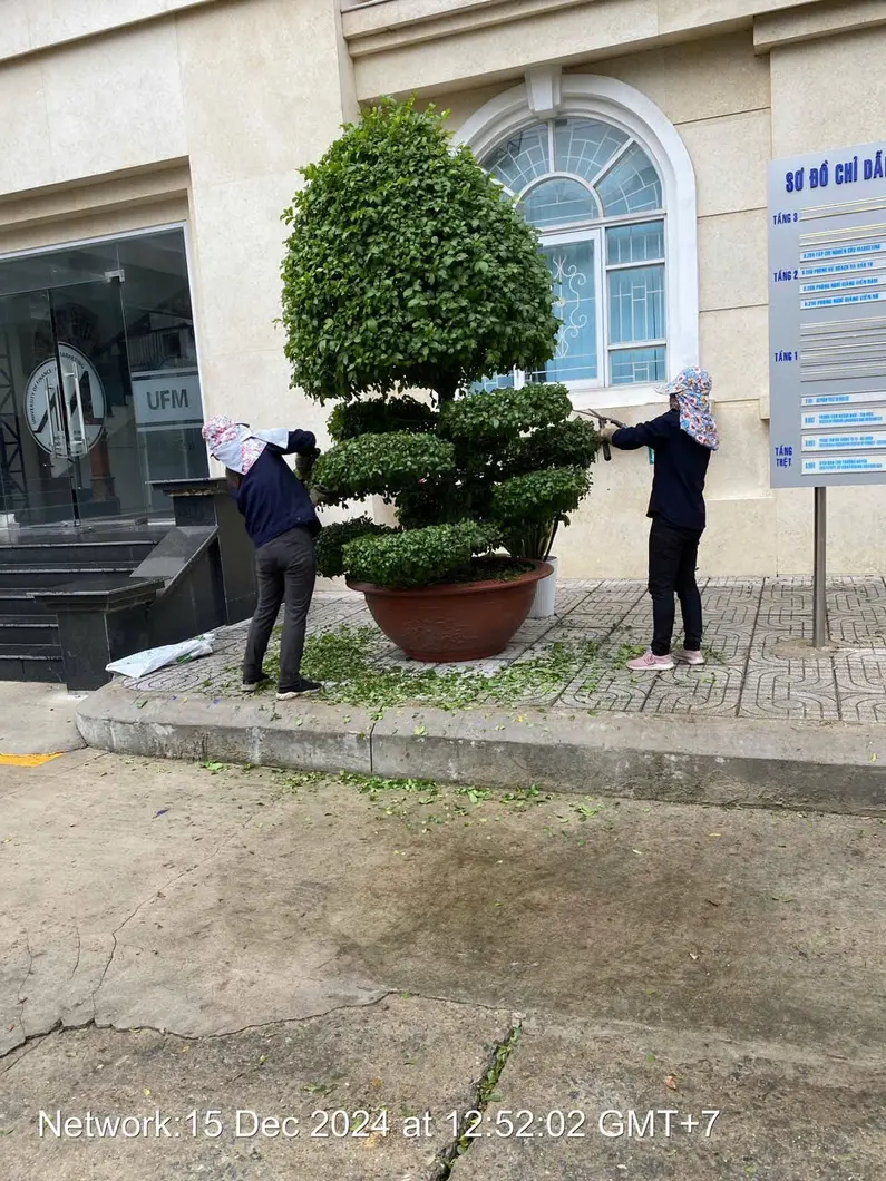 Dịch vụ Chăm sóc Sân vườn - Duy Trì Cây Xanh