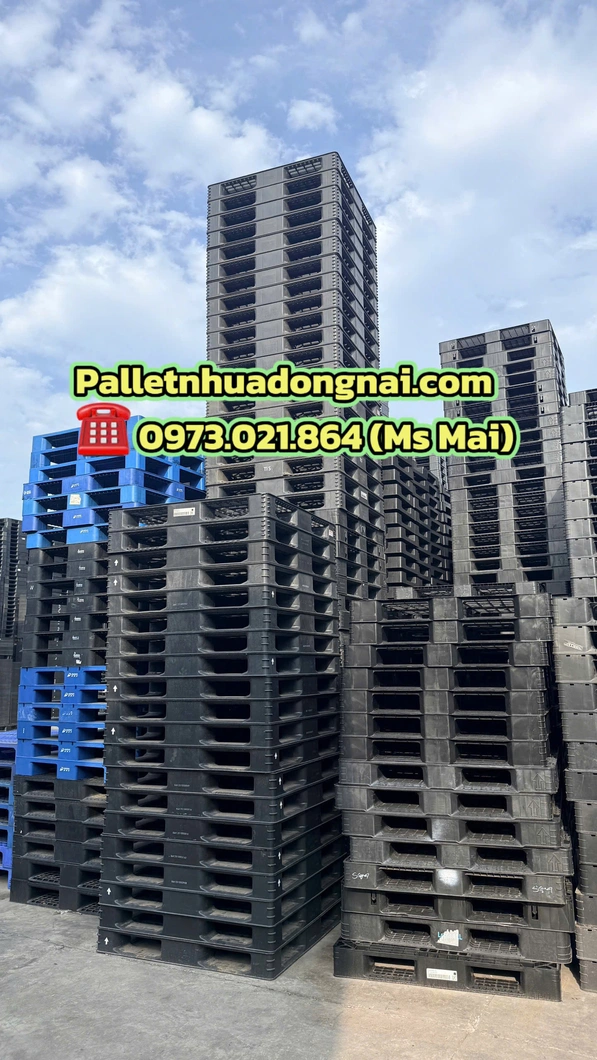 1782891053268_2212750462906503225_4969194113908574586_fe6afdb283d604915d800d698488c0fe.webp
