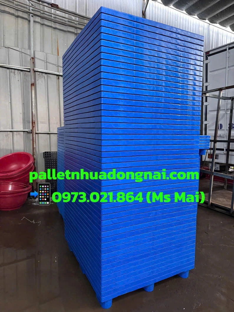 1782974129084_2212750462906503225_4969194113908574586_36b2a41753c39e9541d6f9621c3ec24b.webp
