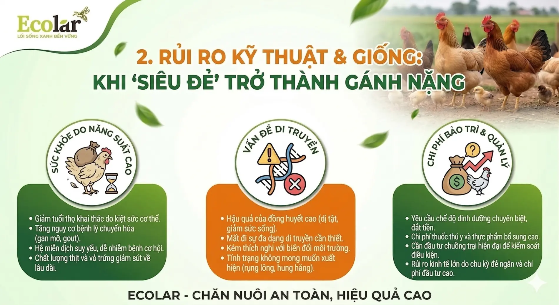 1783069451934.webp