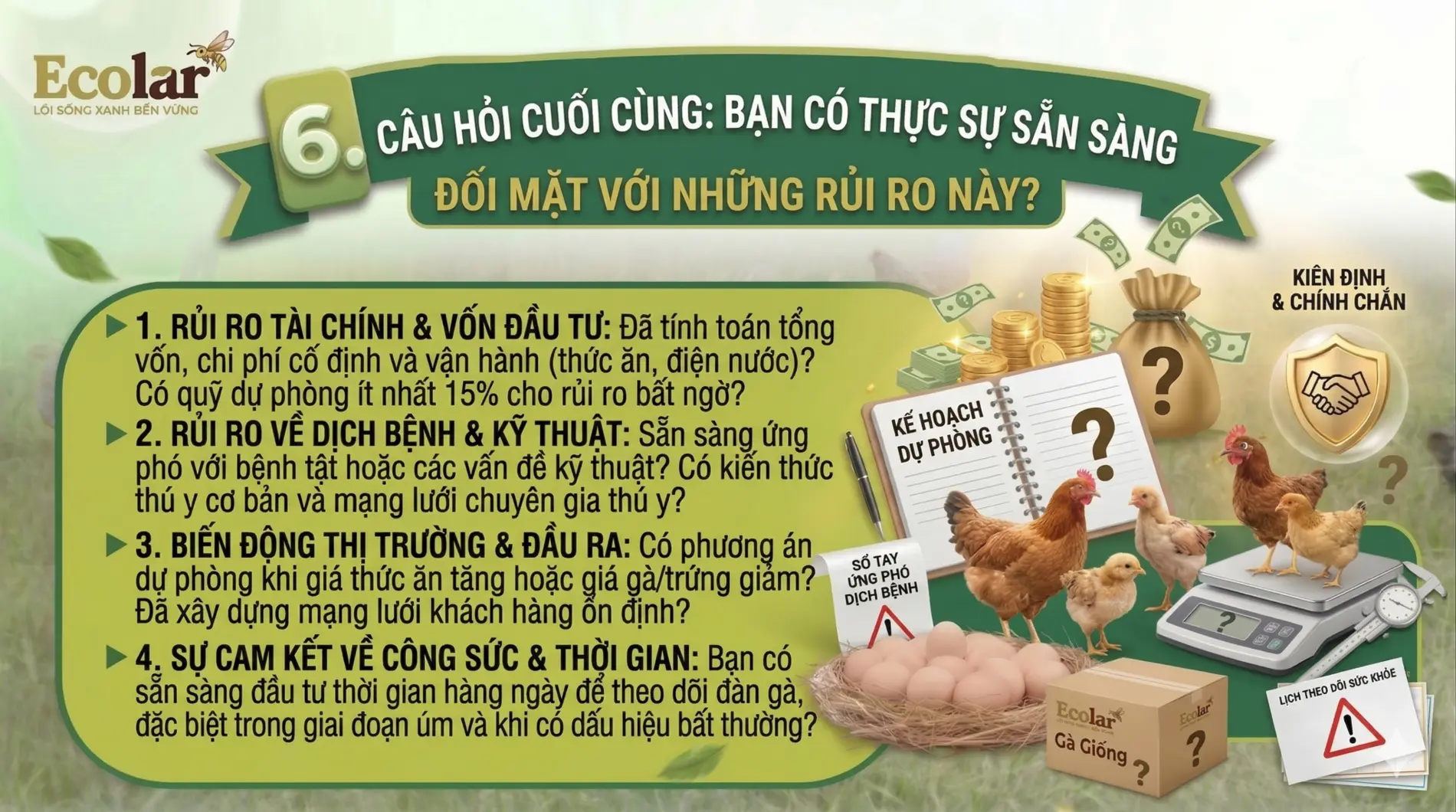 1783069452010.webp