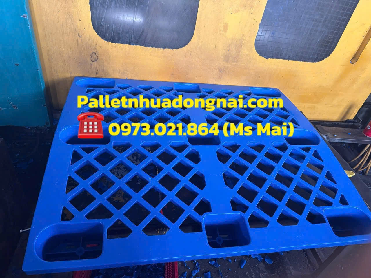 1783349029918_2212750462906503225_4969194113908574586_b0430ddff406aca3c2726c6bd806c9d6.webp