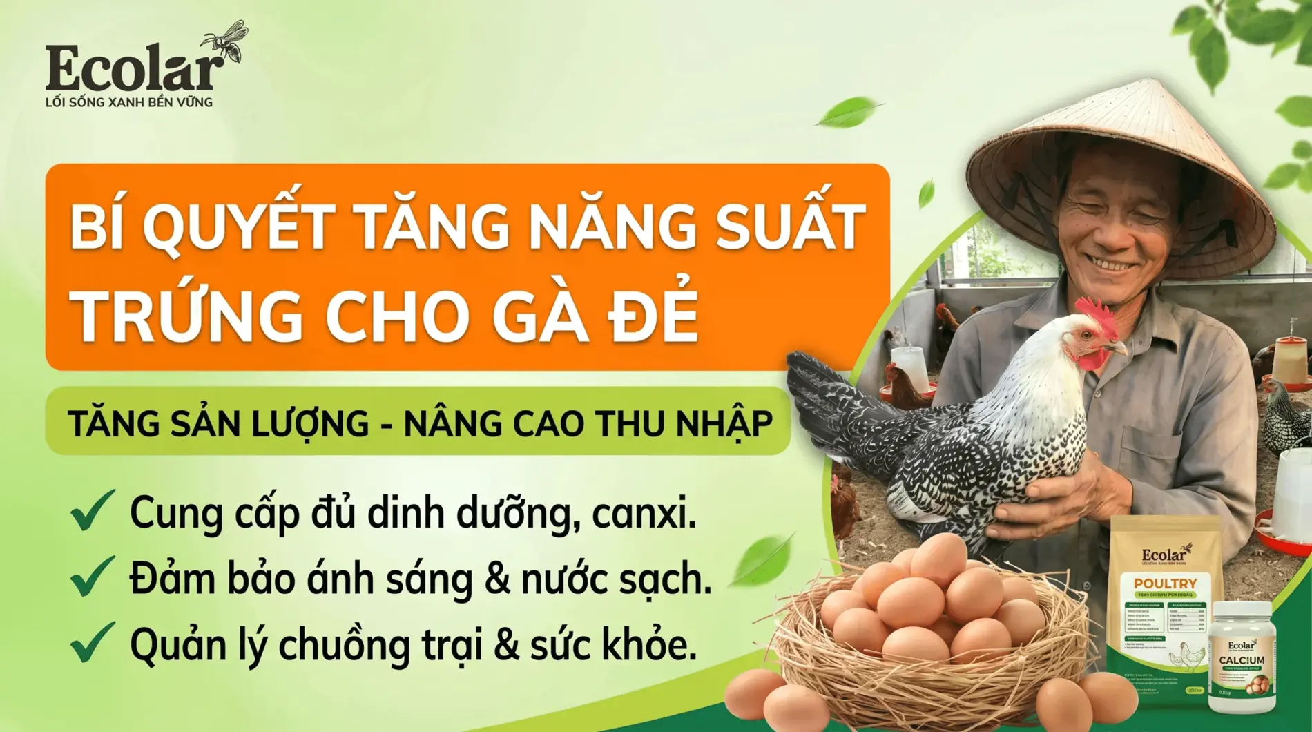 1783928536440.webp