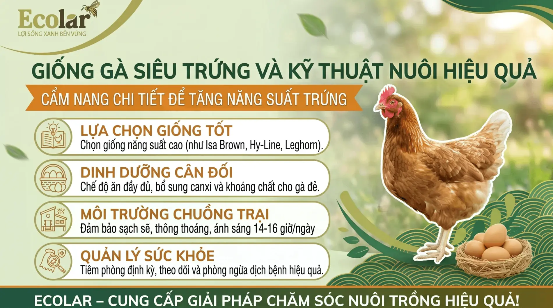 1784010330734.webp