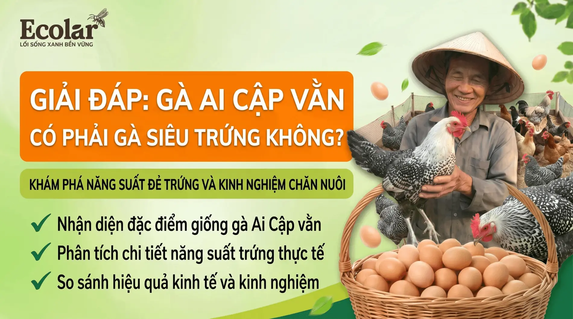 1784258710065.webp