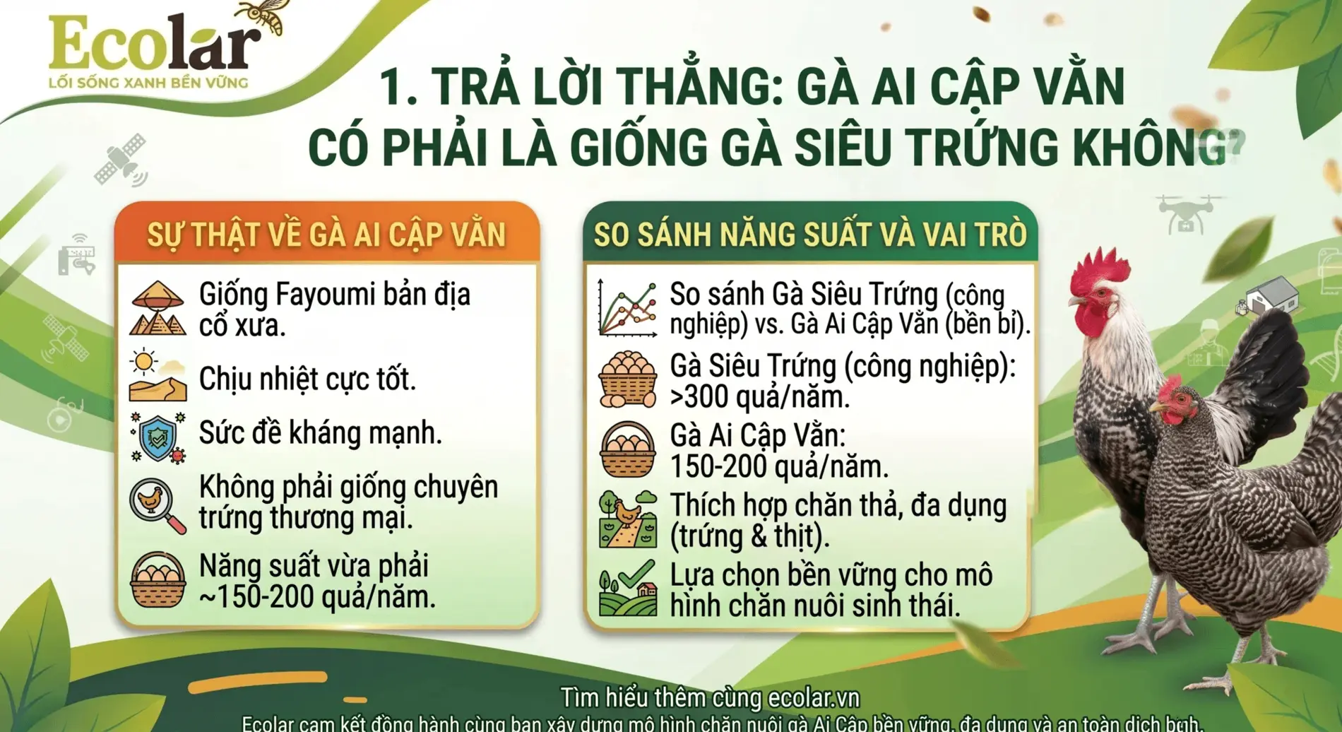 1784258710081.webp