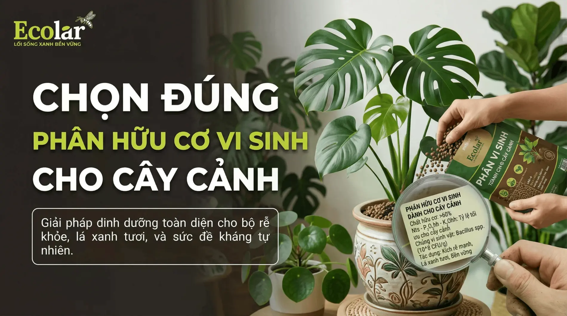 1784626366426.webp