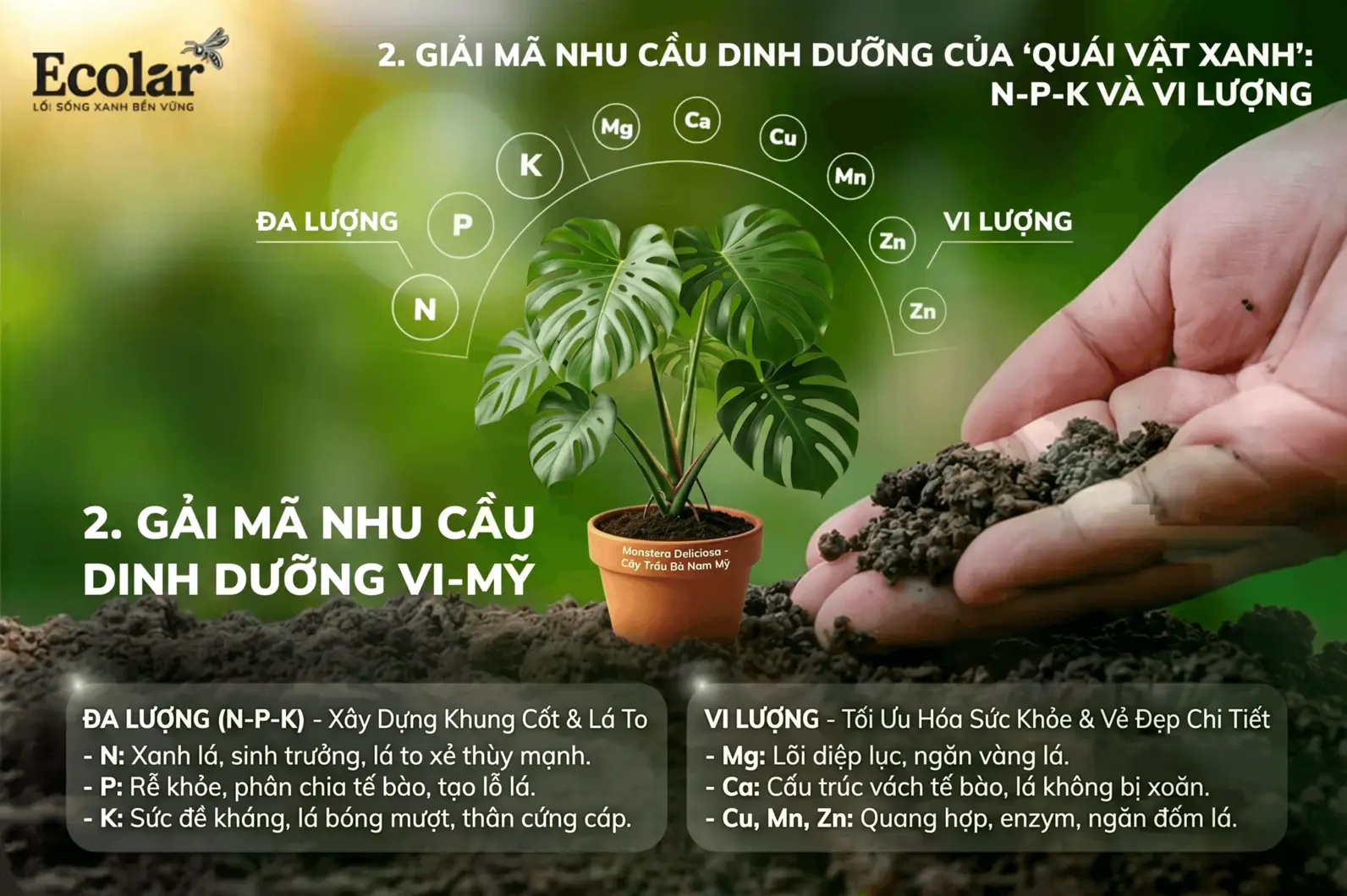 1785224137235.webp
