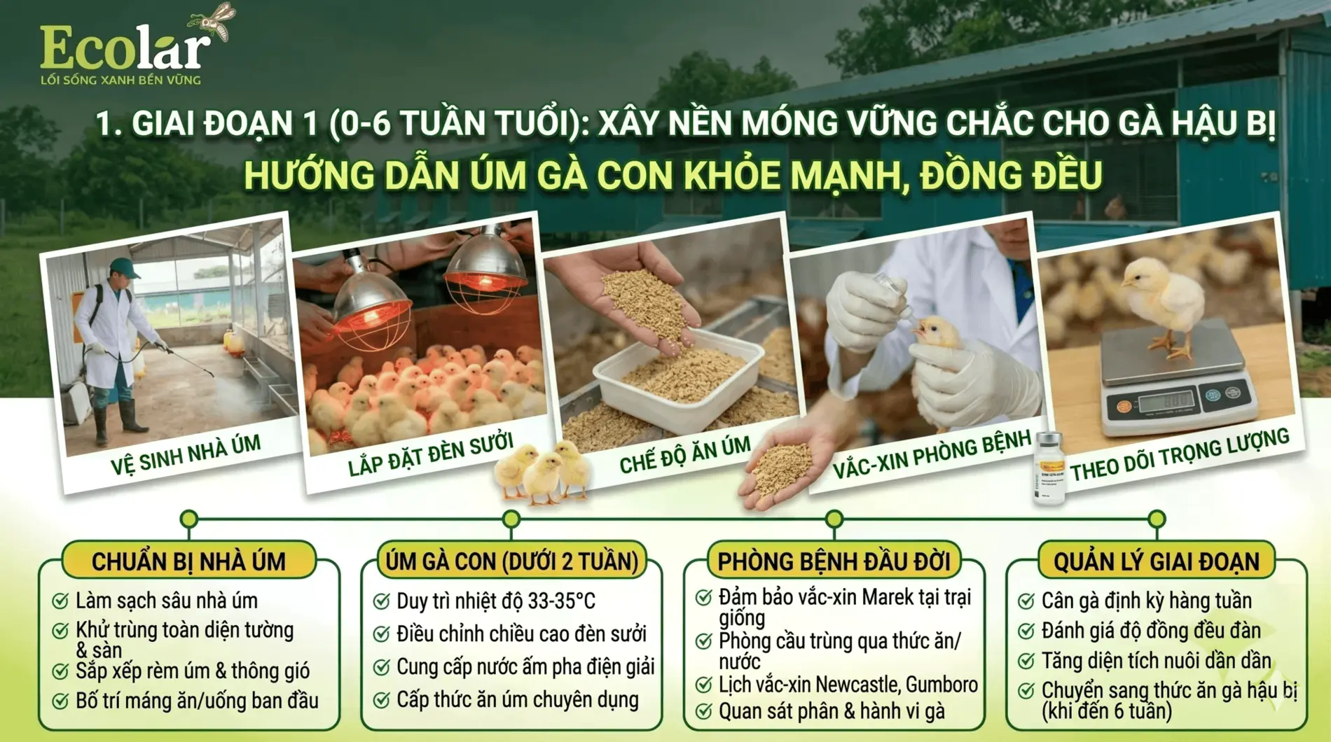 1785467642046.webp