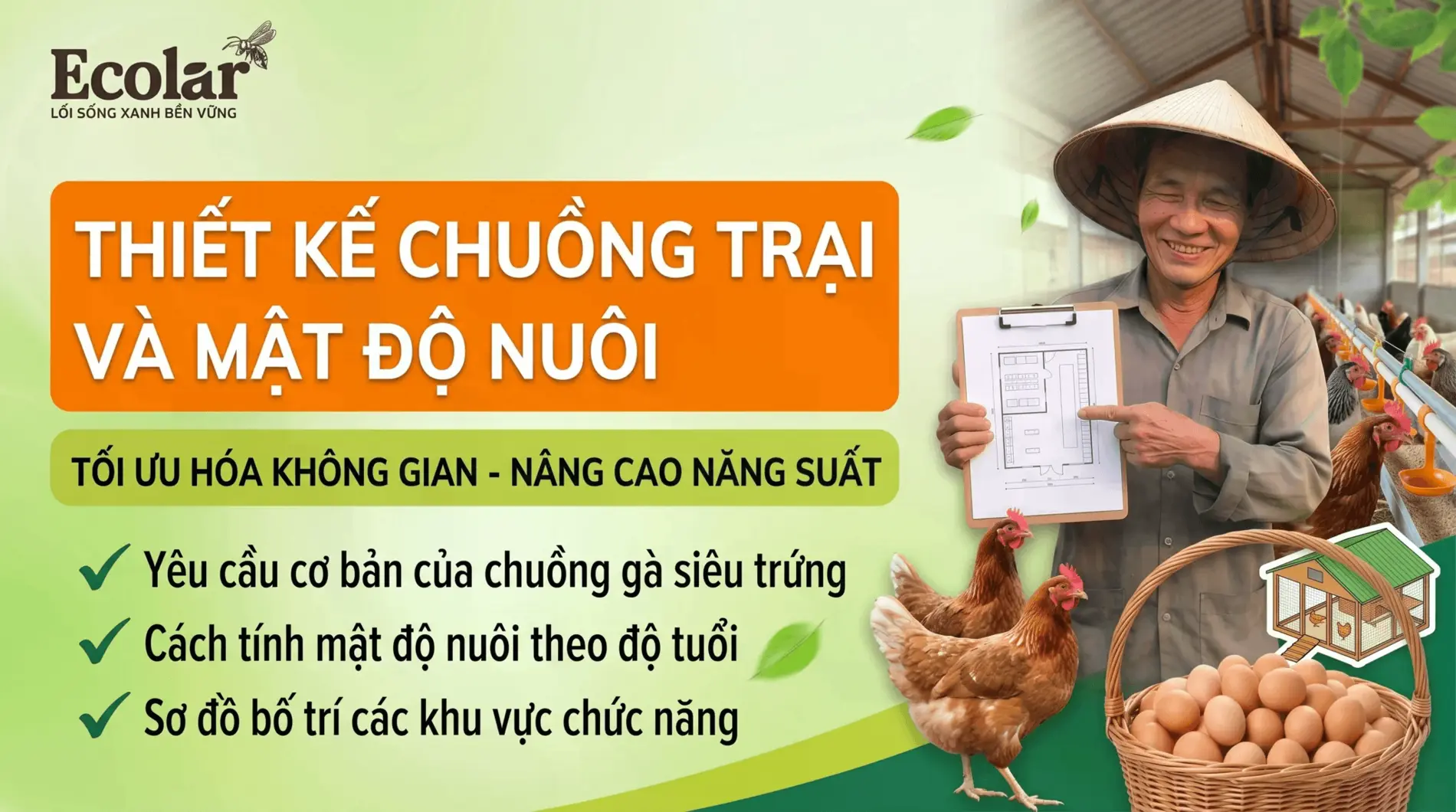 1785469444137.webp